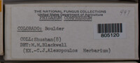 Image Associated With the Occurence